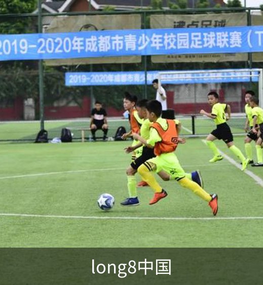 long8中国介绍